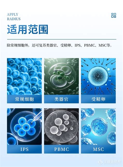 详解“分钟免费”:是优惠还是营销策略?